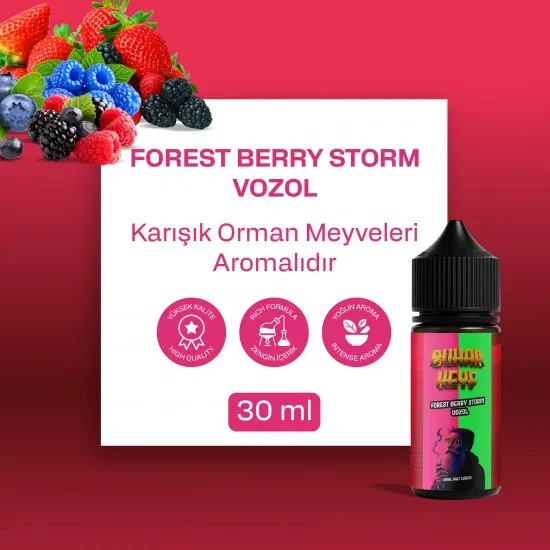 bhk forest berry storm salt likit 30ml vozol orman meyveli