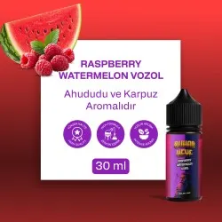 BHK  VOZOL - Raspberry Watermelon - 30ML Salt Likit