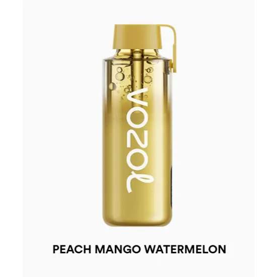 Vozol Neon 12000 Pro