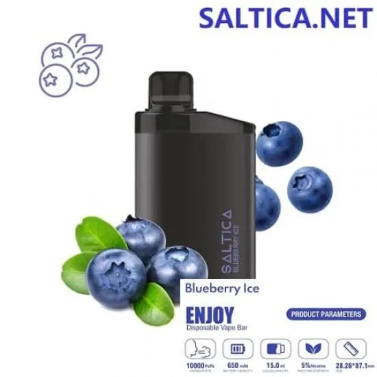 Saltica ENJOY 10000 Puff