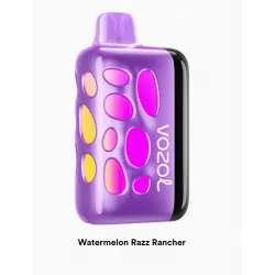 Vozol Rave 40000 Puff